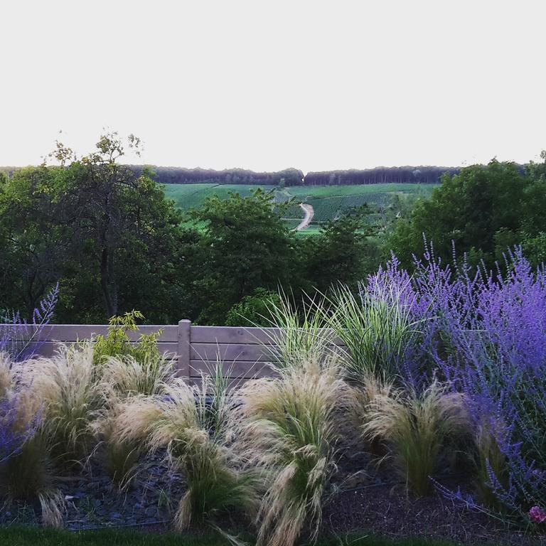 Gite Millesime Et Une Nuit Villers-sous-Châtillon Exterior foto