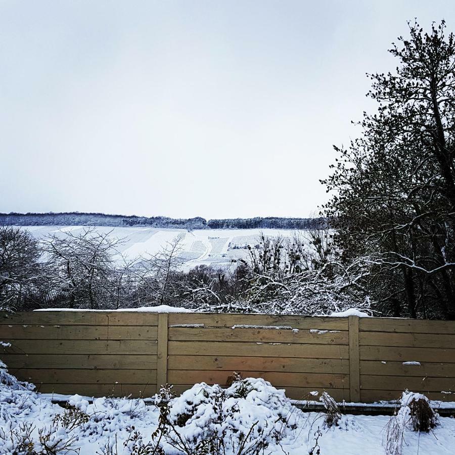Gite Millesime Et Une Nuit Villers-sous-Châtillon Exterior foto